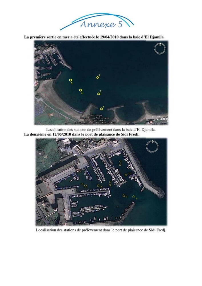 Impact des eaux usées et des embouchures des oueds sur la qualité des eaux de la baie de BouIsmail:
