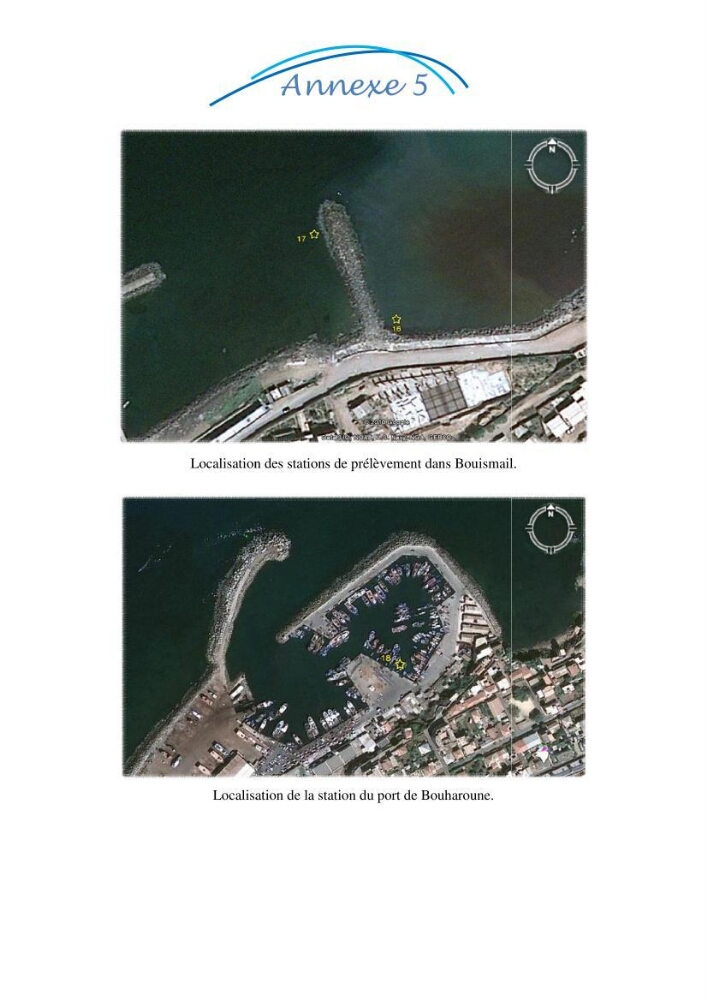 Impact des eaux usées et des embouchures des oueds sur la qualité des eaux de la baie de BouIsmail: