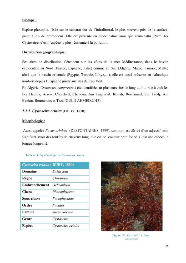 Extraction et purification des alginates à partir d\'une source marine \' algues brunes\' aux possibilités industrielles