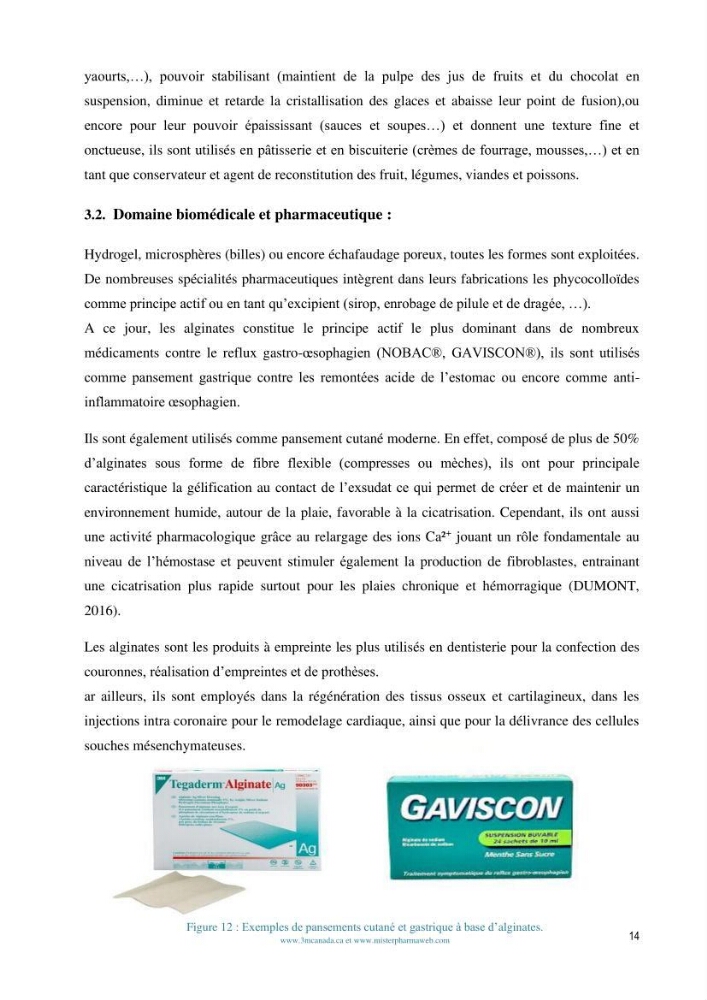 Extraction et purification des alginates à partir d\'une source marine \' algues brunes\' aux possibilités industrielles
