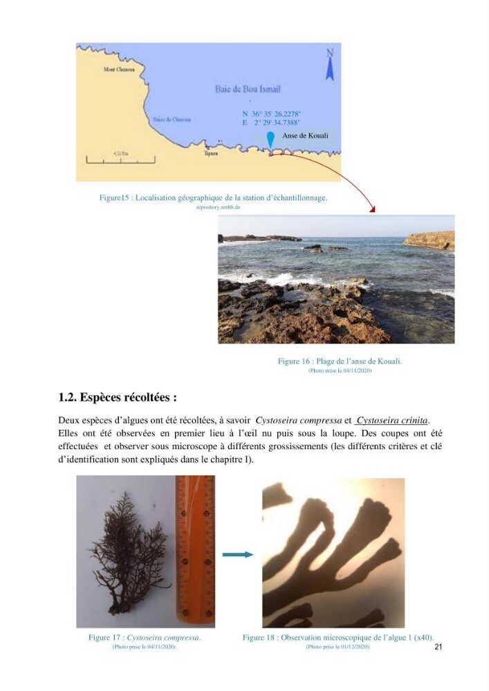Extraction et purification des alginates à partir d\'une source marine \' algues brunes\' aux possibilités industrielles