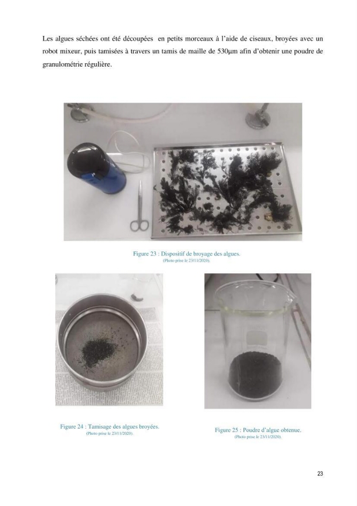 Extraction et purification des alginates à partir d\'une source marine \' algues brunes\' aux possibilités industrielles
