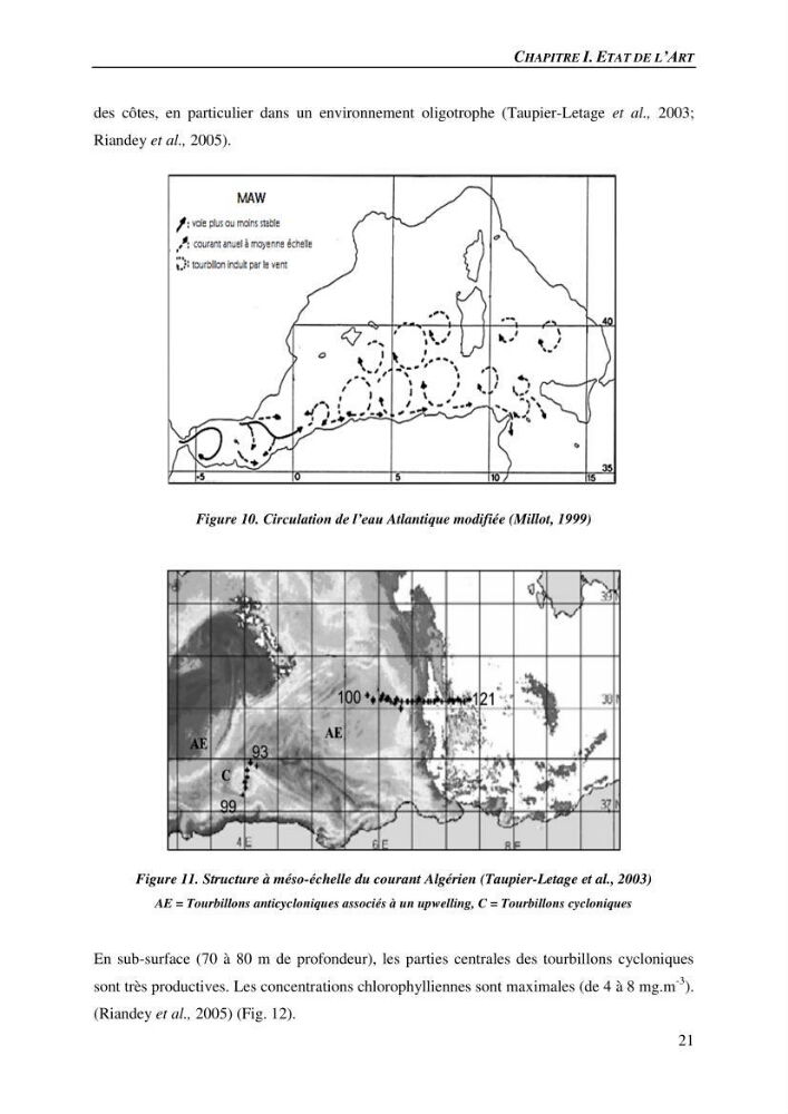 Peuplements de medusozoa des cots algeriennes : biodiversite,distribution quantitative et intractions au reseau trophique pelaique