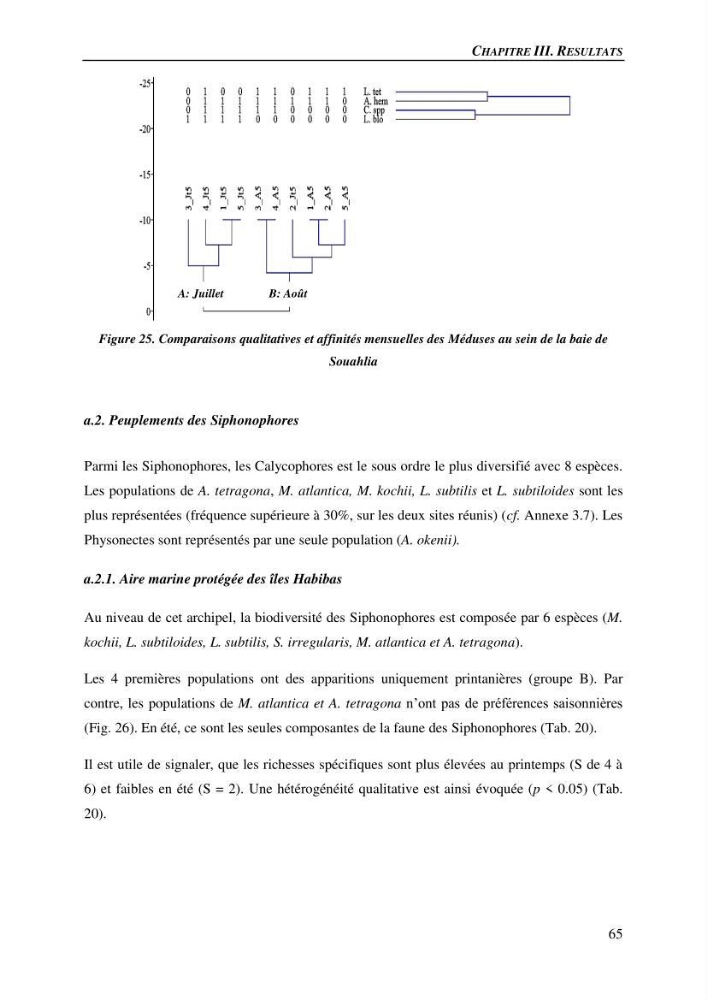 Peuplements de medusozoa des cots algeriennes : biodiversite,distribution quantitative et intractions au reseau trophique pelaique