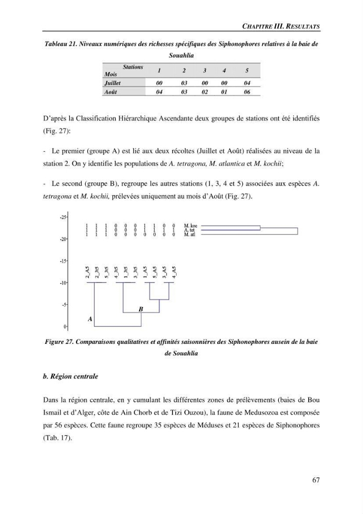 Peuplements de medusozoa des cots algeriennes : biodiversite,distribution quantitative et intractions au reseau trophique pelaique