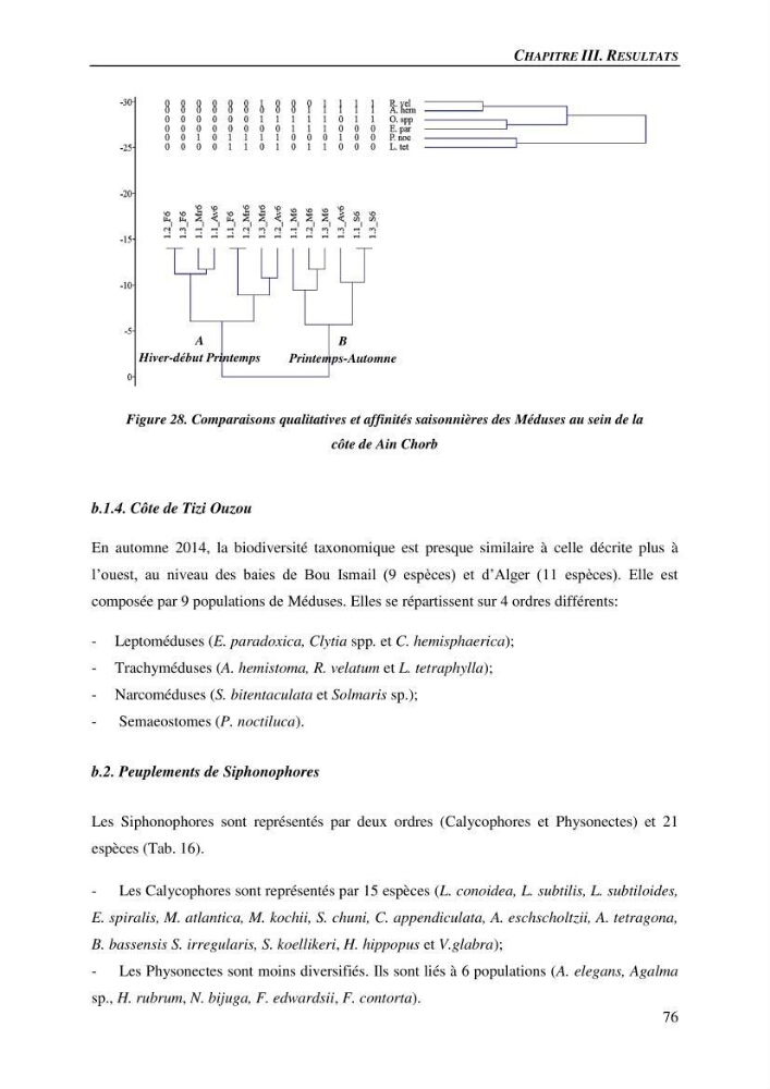 Peuplements de medusozoa des cots algeriennes : biodiversite,distribution quantitative et intractions au reseau trophique pelaique