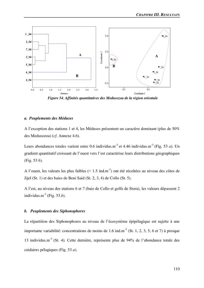 Peuplements de medusozoa des cots algeriennes : biodiversite,distribution quantitative et intractions au reseau trophique pelaique