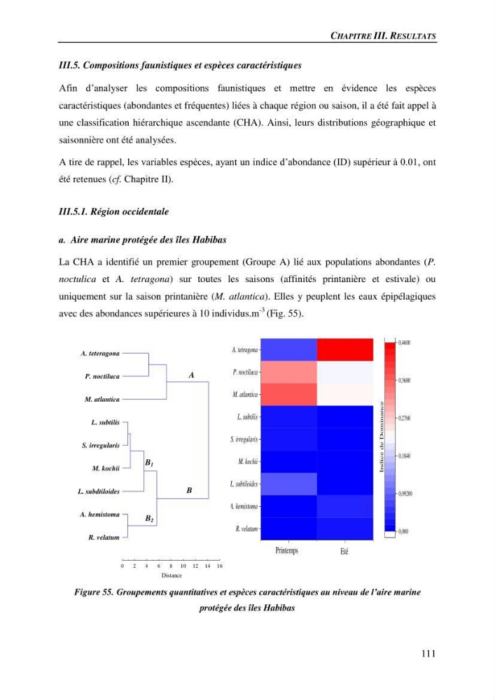 Peuplements de medusozoa des cots algeriennes : biodiversite,distribution quantitative et intractions au reseau trophique pelaique
