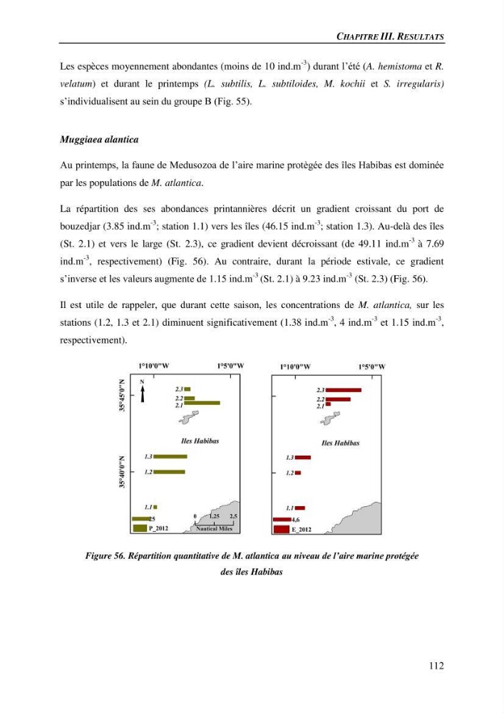 Peuplements de medusozoa des cots algeriennes : biodiversite,distribution quantitative et intractions au reseau trophique pelaique