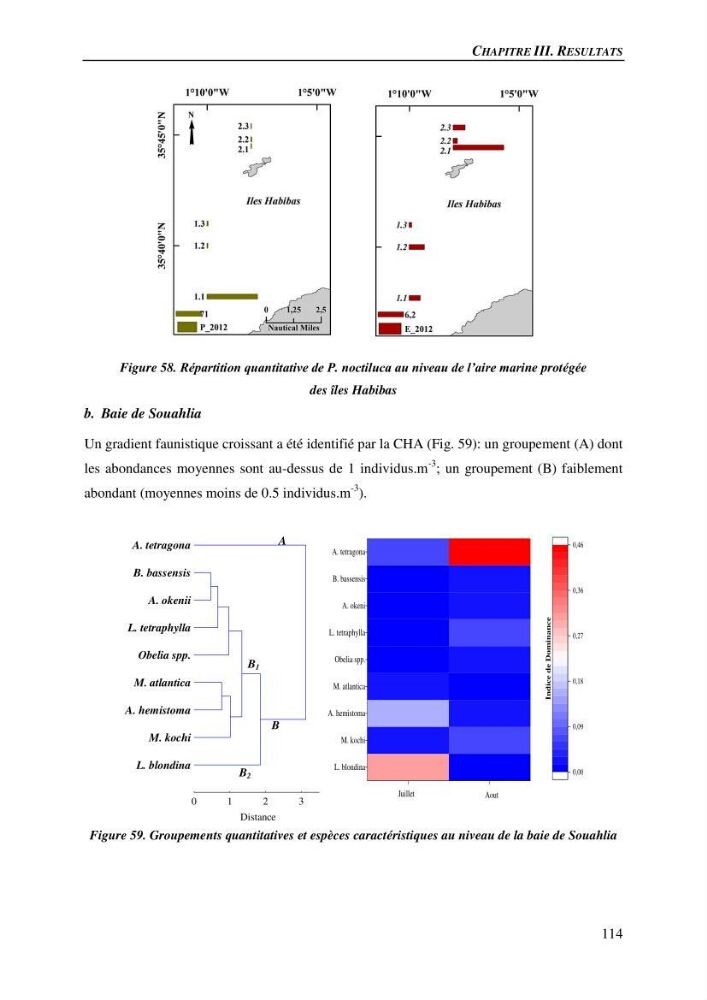 Peuplements de medusozoa des cots algeriennes : biodiversite,distribution quantitative et intractions au reseau trophique pelaique