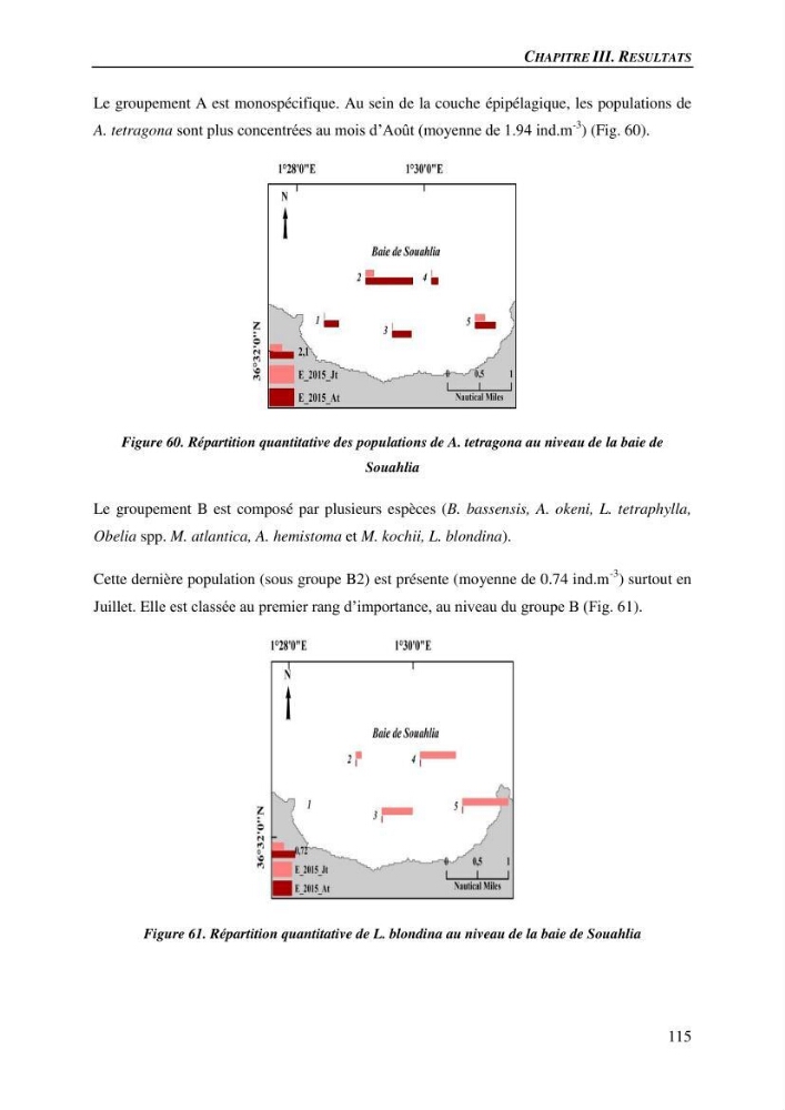 Peuplements de medusozoa des cots algeriennes : biodiversite,distribution quantitative et intractions au reseau trophique pelaique