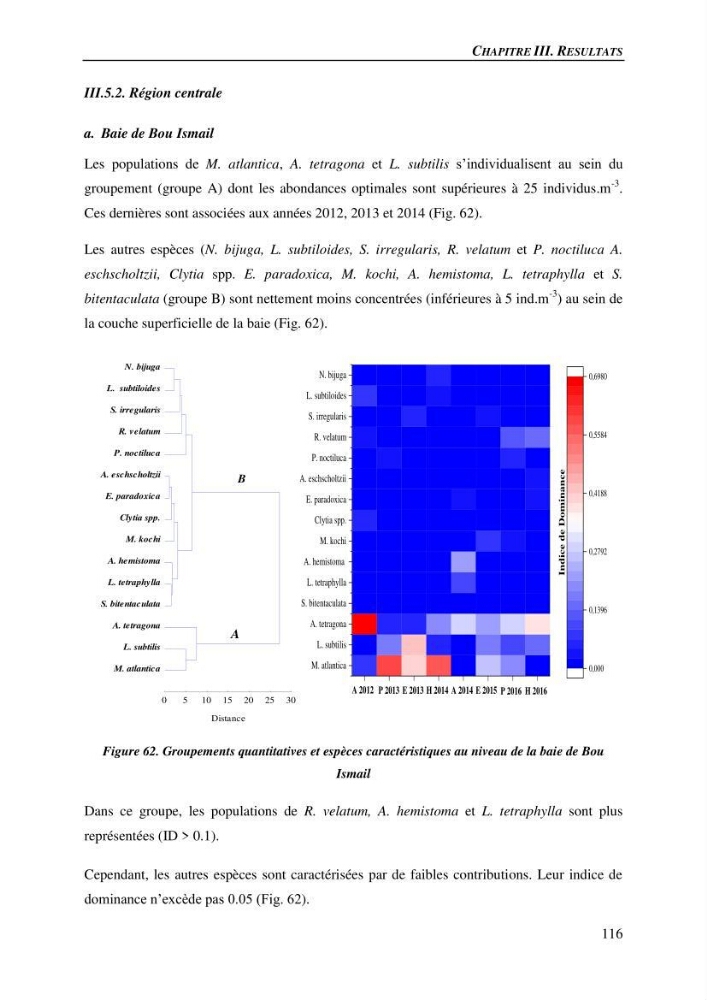 Peuplements de medusozoa des cots algeriennes : biodiversite,distribution quantitative et intractions au reseau trophique pelaique