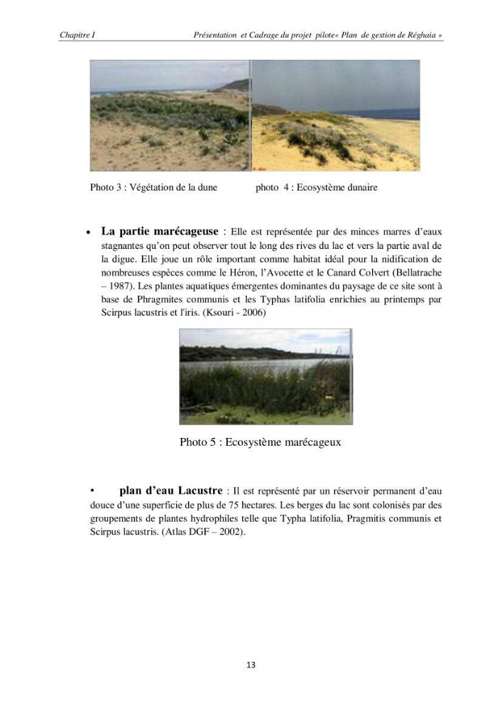 Contribution méthodologique au bilan-diagnostic du \" plan GIZC de Réghaia \"