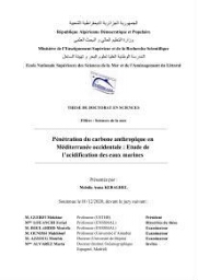 Pénétration du carbone anthropique en Méditerranée occidentale: étude de l’acidification des eaux marines