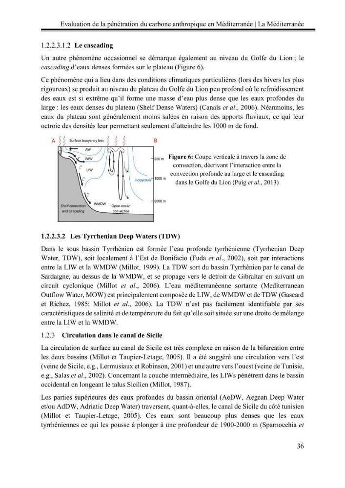 Pénétration du carbone anthropique en Méditerranée occidentale: étude de l’acidification des eaux marines