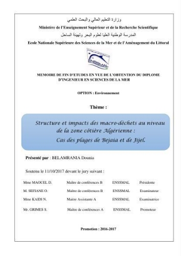 Structure et impacts des macro-déchets au niveau de la zone côtière Algérienjne Structure et impacts des macro-déchets au niveau de la zone côtière Algérienjne