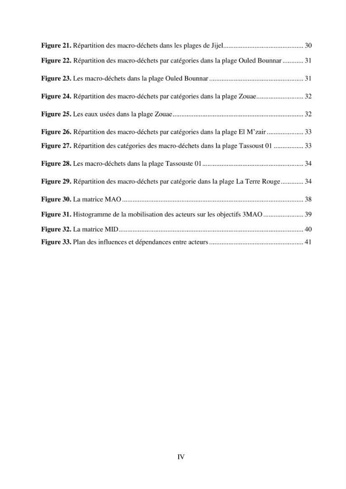 Structure et impacts des macro-déchets au niveau de la zone côtière Algérienjne