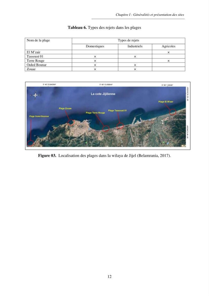 Structure et impacts des macro-déchets au niveau de la zone côtière Algérienjne