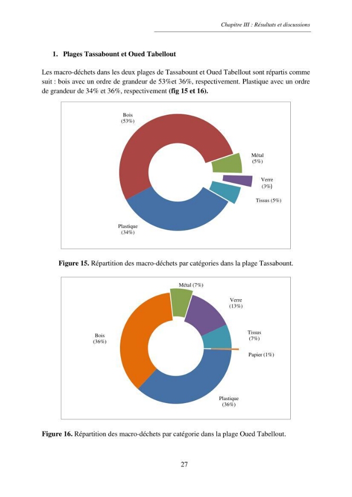 Structure et impacts des macro-déchets au niveau de la zone côtière Algérienjne