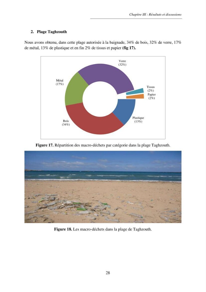 Structure et impacts des macro-déchets au niveau de la zone côtière Algérienjne