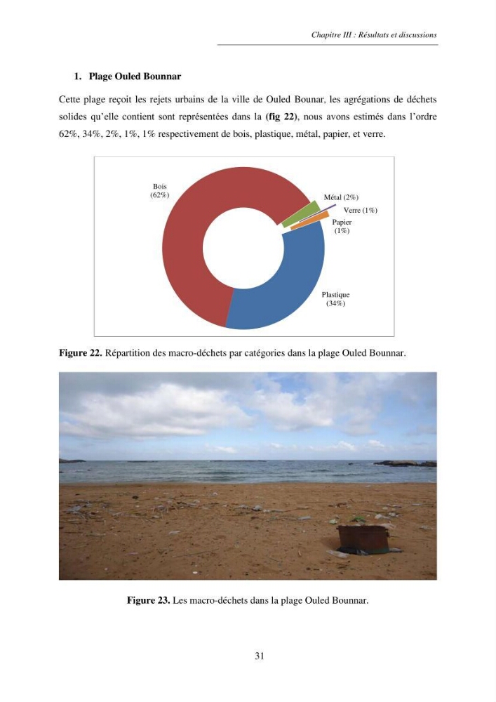 Structure et impacts des macro-déchets au niveau de la zone côtière Algérienjne