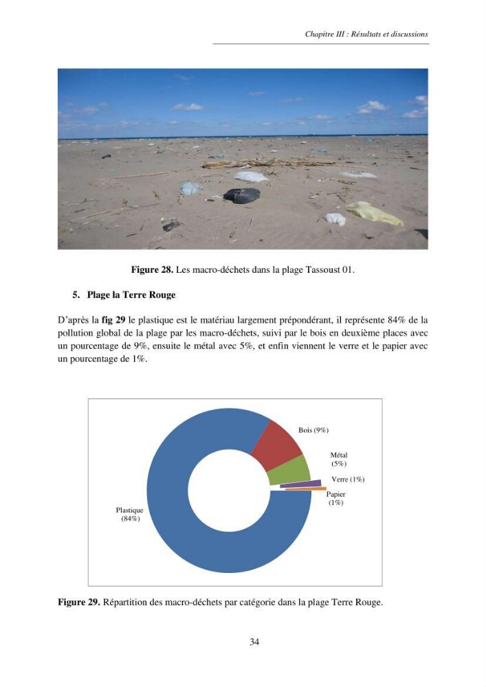 Structure et impacts des macro-déchets au niveau de la zone côtière Algérienjne