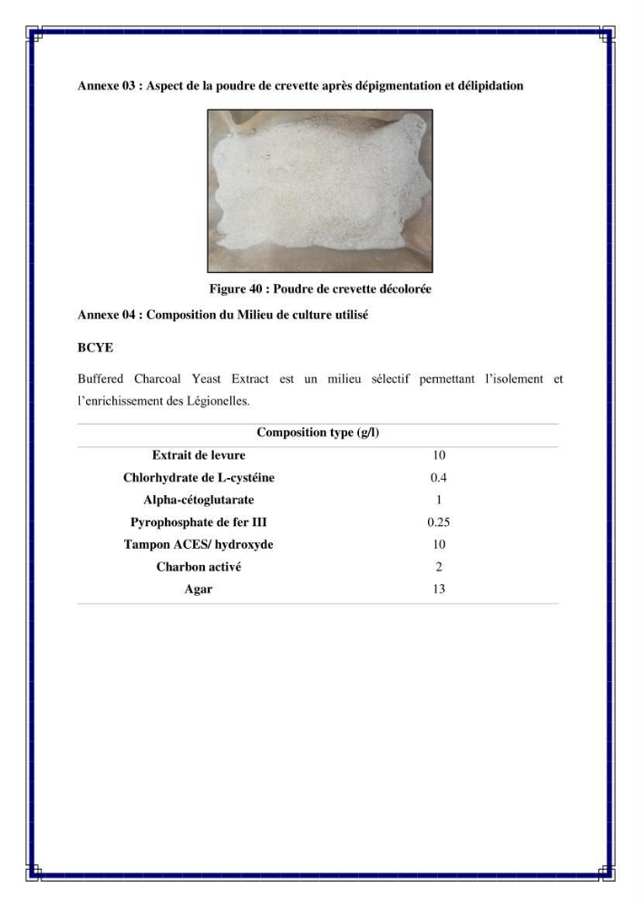 Valorisation biotechnologique des coproduits de crustacés: étude de l’efficacité du traitement avec du chitosane et de l’irradiation UV dans l’élimination de Legionella pneumophila