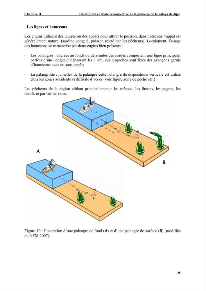 Etude de la pêcherie de Jijel: interaction avec l\'aire marine de Taza (wilaya de Jijel)