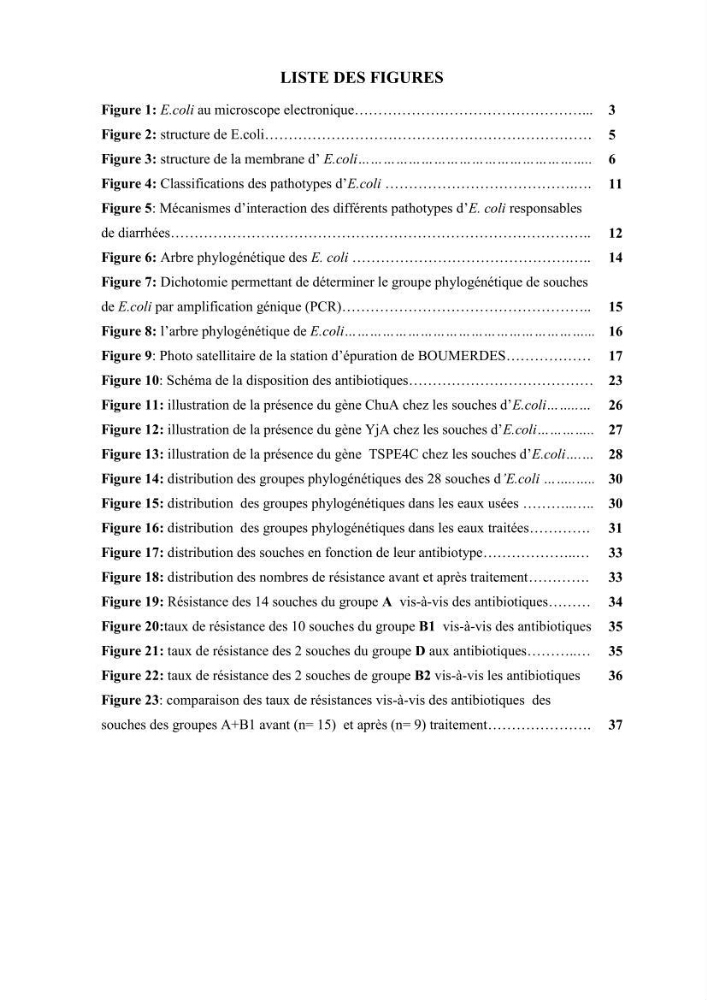 Phylogènie des souches d\'E. coli résistantes aux fluoroquinolones isolées au niveau de la station d\'épuration de Boumerdes