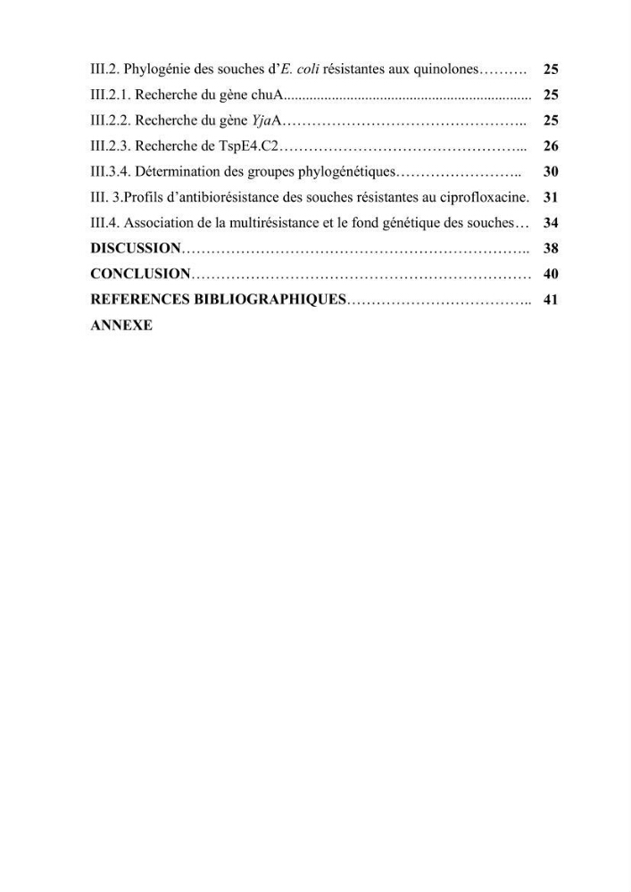 Phylogènie des souches d\'E. coli résistantes aux fluoroquinolones isolées au niveau de la station d\'épuration de Boumerdes