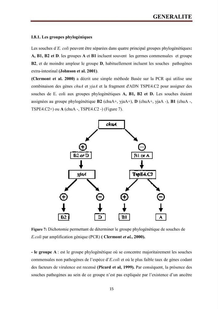 Phylogènie des souches d\'E. coli résistantes aux fluoroquinolones isolées au niveau de la station d\'épuration de Boumerdes