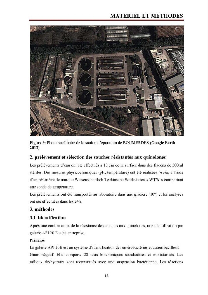Phylogènie des souches d\'E. coli résistantes aux fluoroquinolones isolées au niveau de la station d\'épuration de Boumerdes