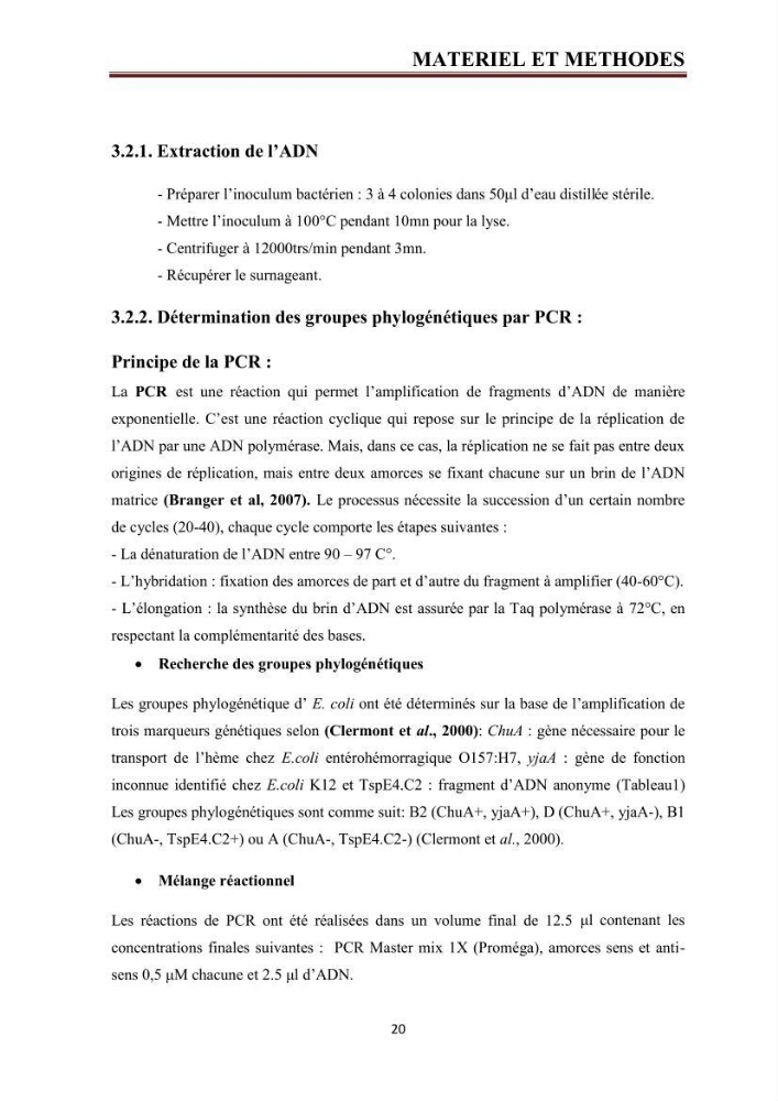 Phylogènie des souches d\'E. coli résistantes aux fluoroquinolones isolées au niveau de la station d\'épuration de Boumerdes