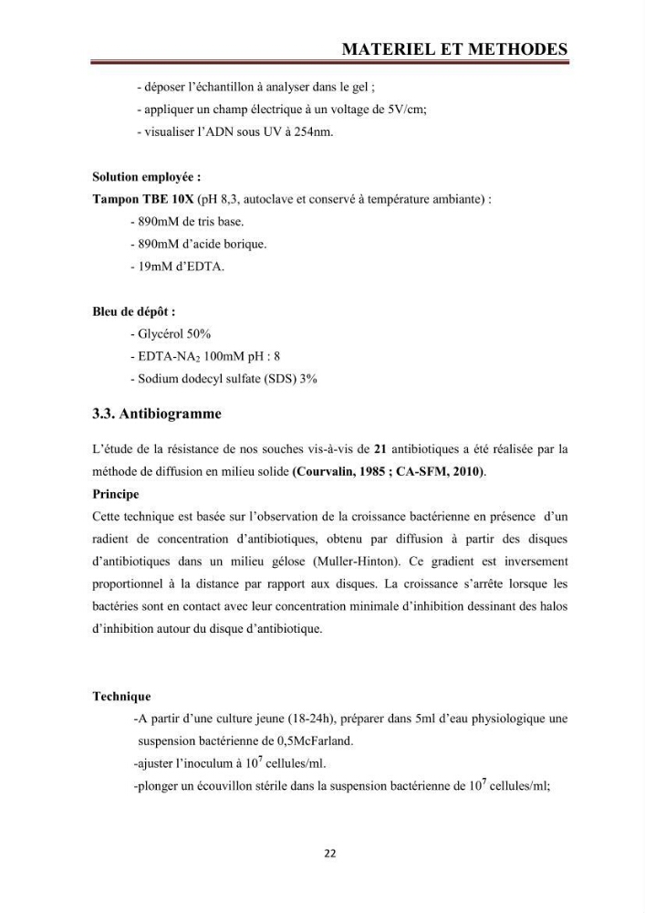 Phylogènie des souches d\'E. coli résistantes aux fluoroquinolones isolées au niveau de la station d\'épuration de Boumerdes