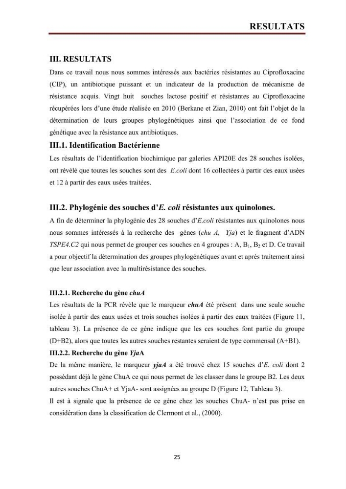 Phylogènie des souches d\'E. coli résistantes aux fluoroquinolones isolées au niveau de la station d\'épuration de Boumerdes