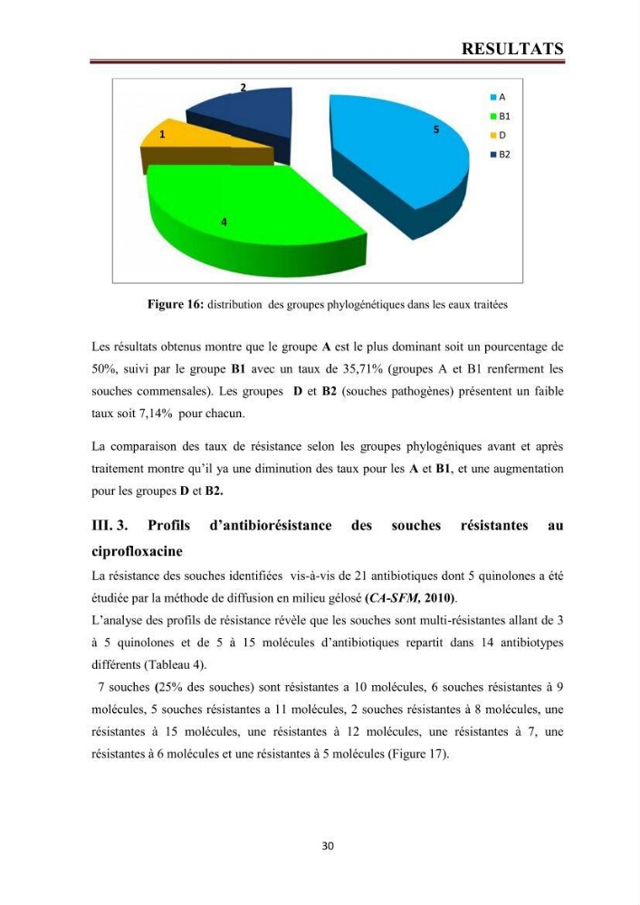 Phylogènie des souches d\'E. coli résistantes aux fluoroquinolones isolées au niveau de la station d\'épuration de Boumerdes