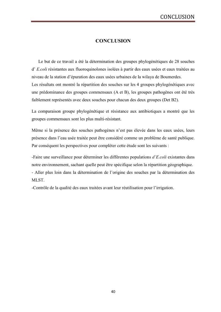 Phylogènie des souches d\'E. coli résistantes aux fluoroquinolones isolées au niveau de la station d\'épuration de Boumerdes