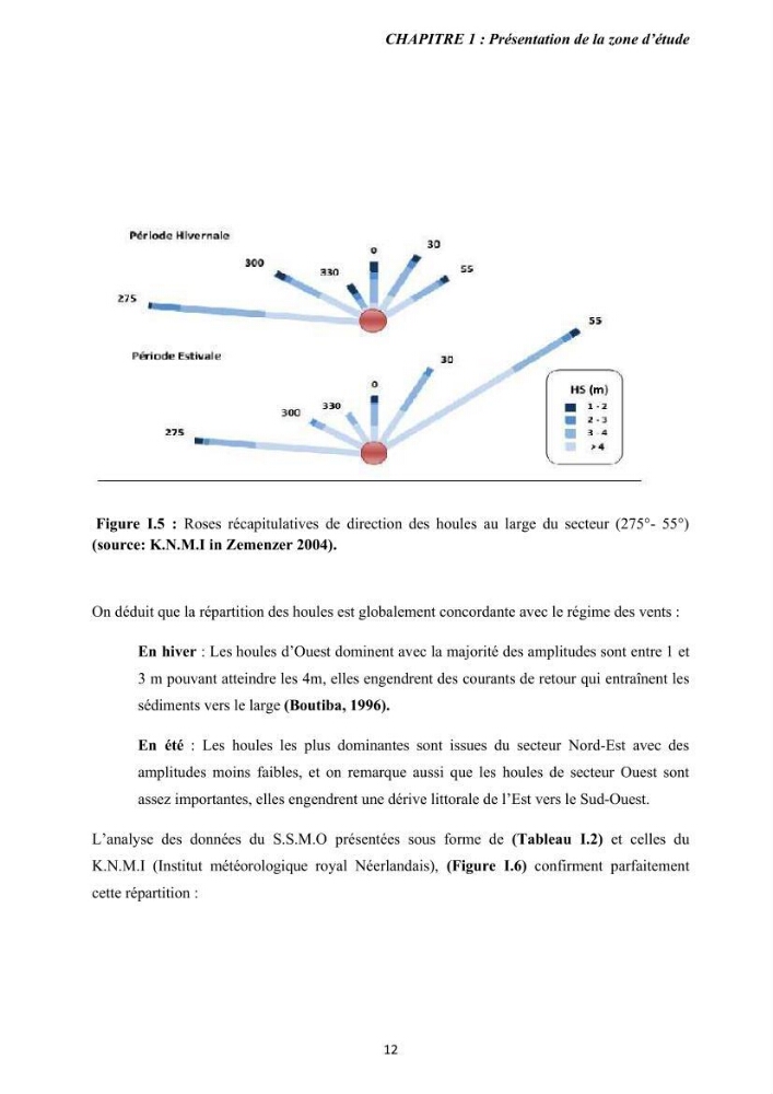 Etude des forçages des courants côtiers et des transports sédimentaires pour la compréhension du phénomène de l\'ensablement portuaire