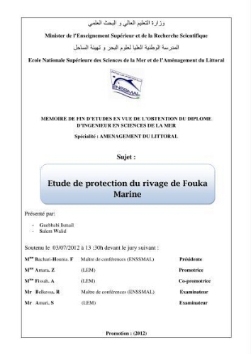 Etude de protection du rivage de Fouka marine Etude de protection du rivage de Fouka marine