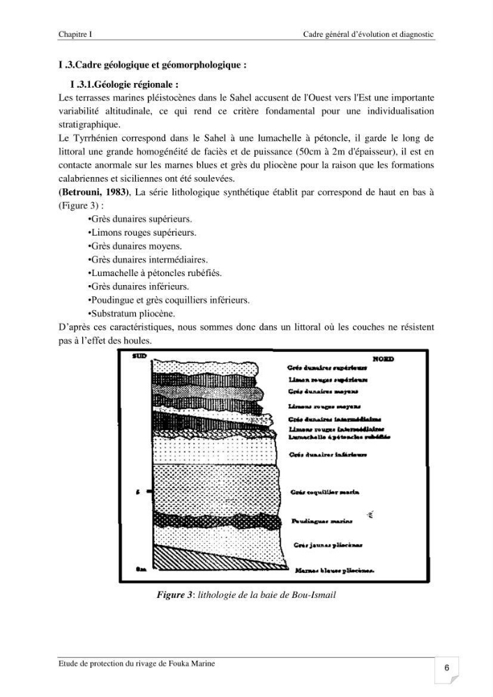 Etude de protection du rivage de Fouka marine