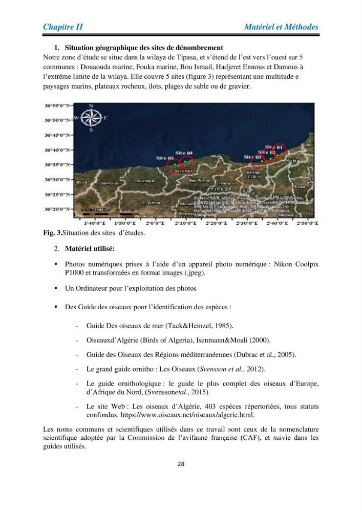 Proposition d’une méthode d’inventaire des oiseaux marins :application au littoral de la wilaya de Tipaza