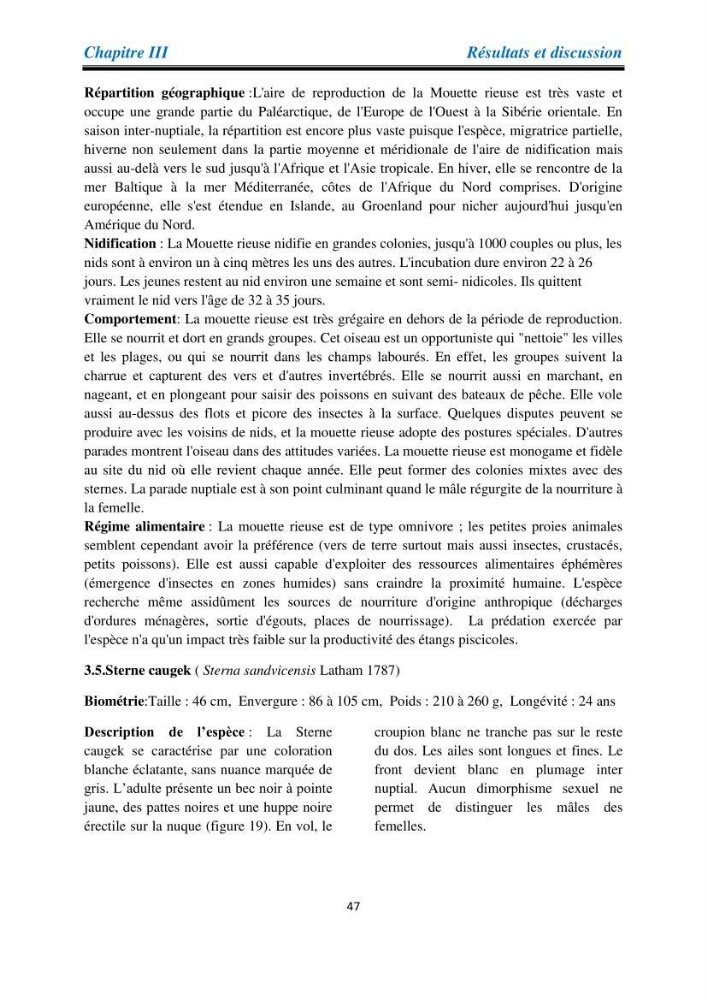 Proposition d’une méthode d’inventaire des oiseaux marins :application au littoral de la wilaya de Tipaza