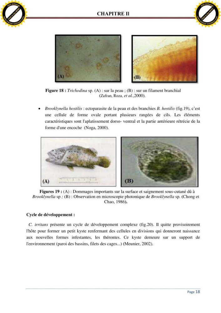 Inventaire des crustaces parasites des poissons de l\'eau de mer