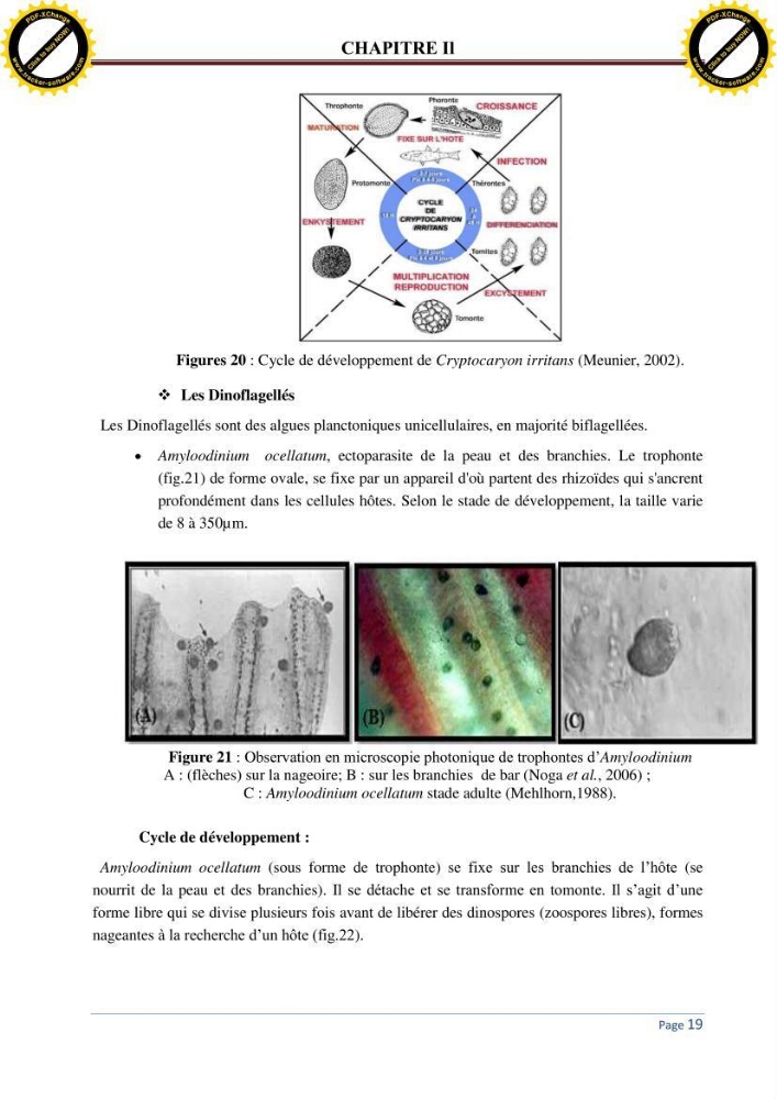 Inventaire des crustaces parasites des poissons de l\'eau de mer