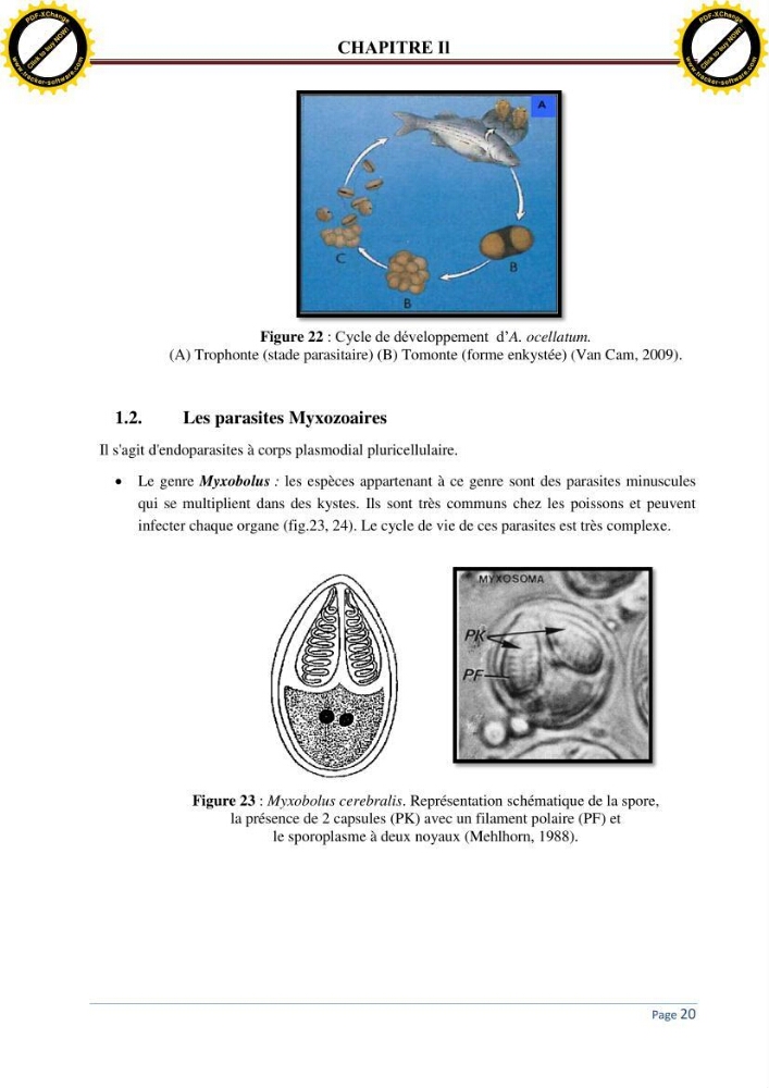 Inventaire des crustaces parasites des poissons de l\'eau de mer