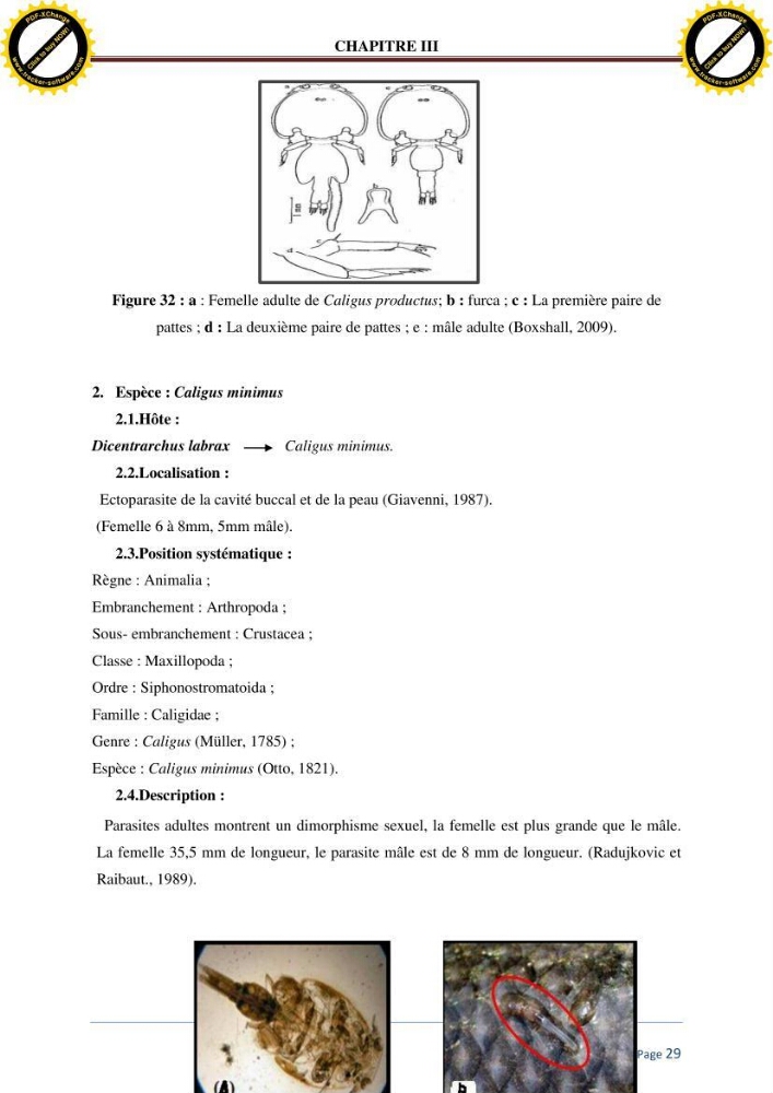 Inventaire des crustaces parasites des poissons de l\'eau de mer