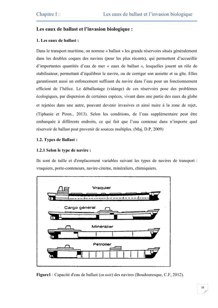 Contribution au développement d\'un modèle probabiliste pour estimer le risque d\'invasion par les eaux de ballast: cas de port d\'Arzew