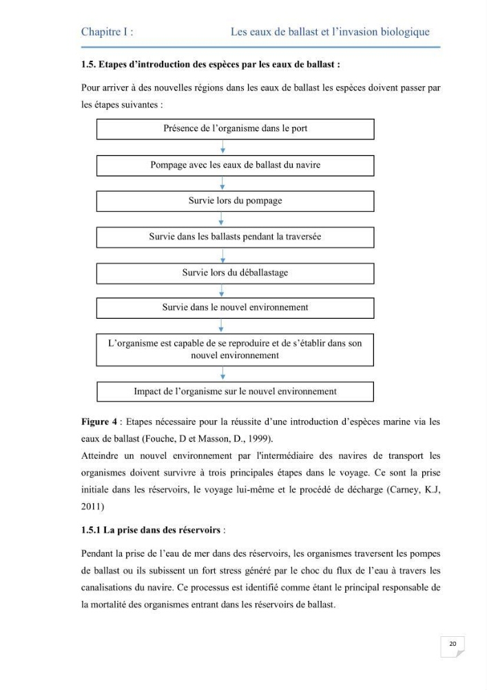 Contribution au développement d\'un modèle probabiliste pour estimer le risque d\'invasion par les eaux de ballast: cas de port d\'Arzew