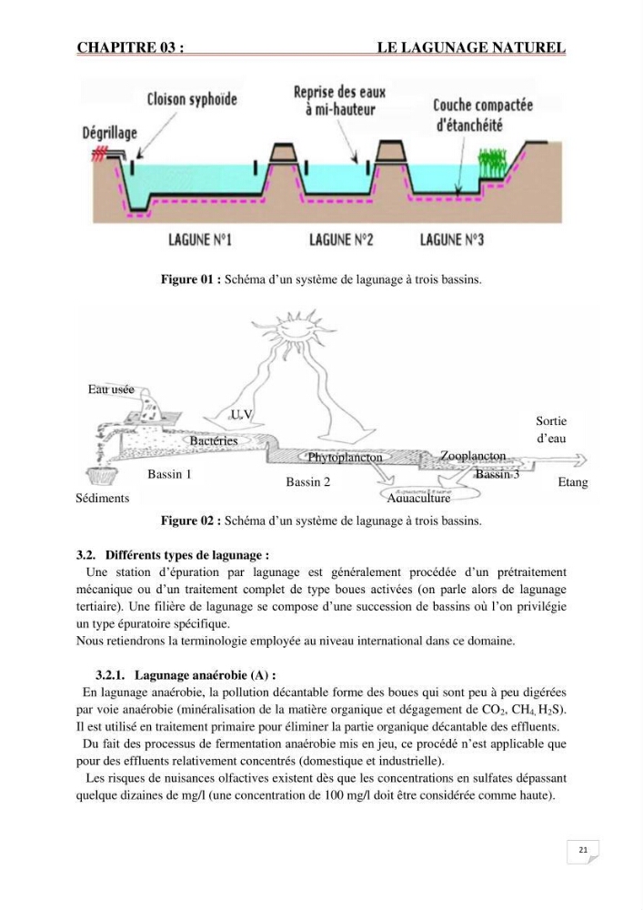 Etude statistique de l\'influence des conditions climatiques sur le pouvoir épuratoire de lagunage naturel