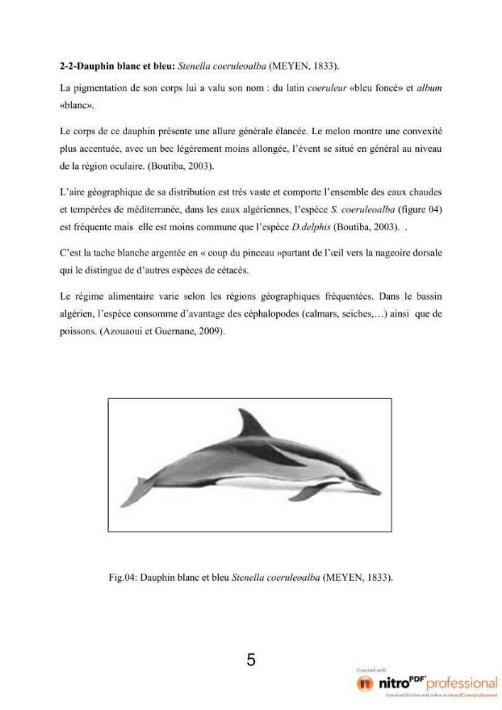 Impact de la déprédation des dauphins et interaction pêcherie-cétacés au niveau du port d\'Alger
